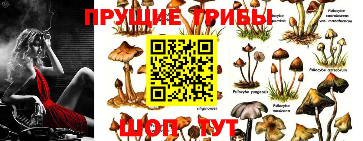 Галлюциногенные грибы Magic Shrooms  Галлюциногенные грибы Cubensis  Вход с VPN  Ишим 